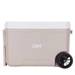 कस्टम लोगो आइस बॉक्स कूलर